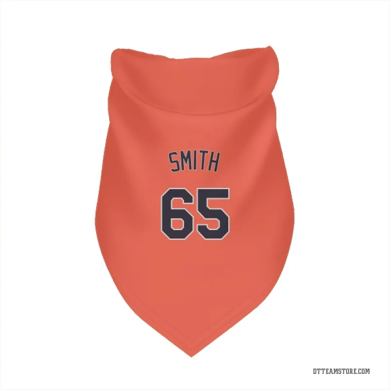 Burch Smith  Orange Detroit Tigers  Cat & Dog Pet Bandana